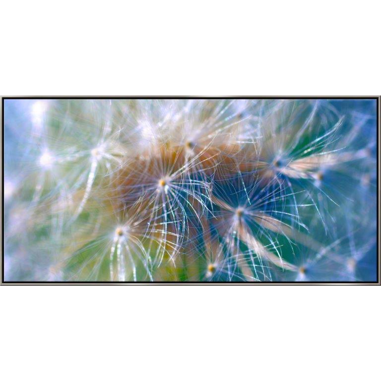 Oversized Horizontal - 10007