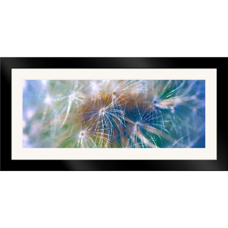 Oversized Horizontal - 10007