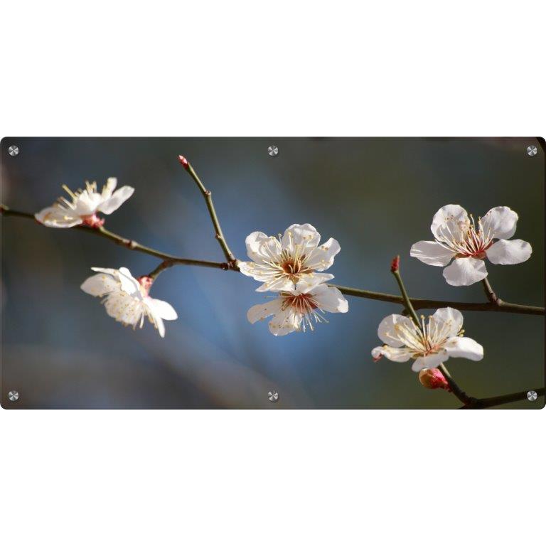 Oversized Horizontal - 9039