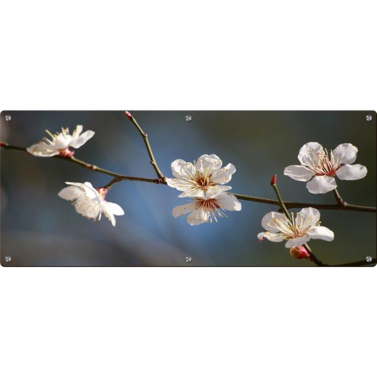 Oversized Horizontal - 9039