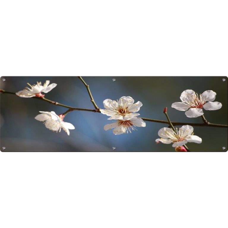 Oversized Horizontal - 9039