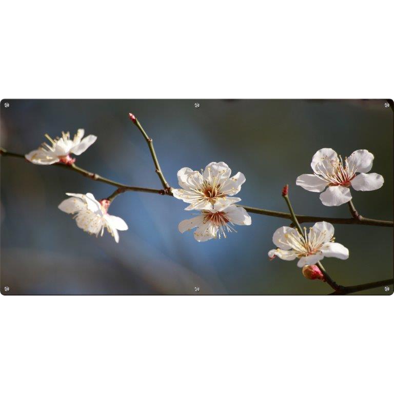 Oversized Horizontal - 9039