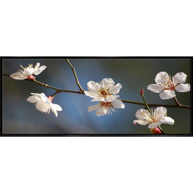 Oversized Horizontal - 9039