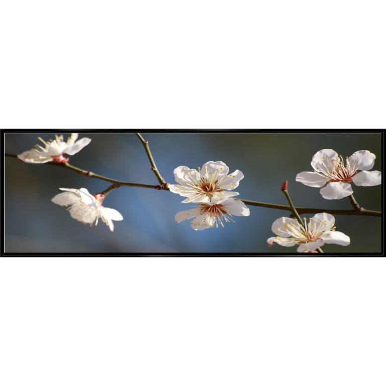 Oversized Horizontal - 9039