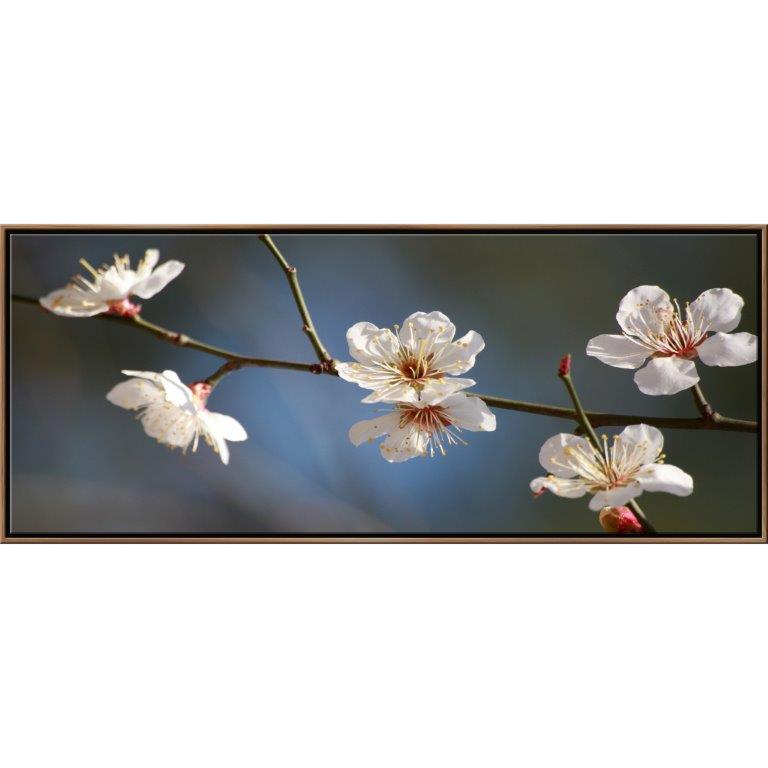 Oversized Horizontal - 9039