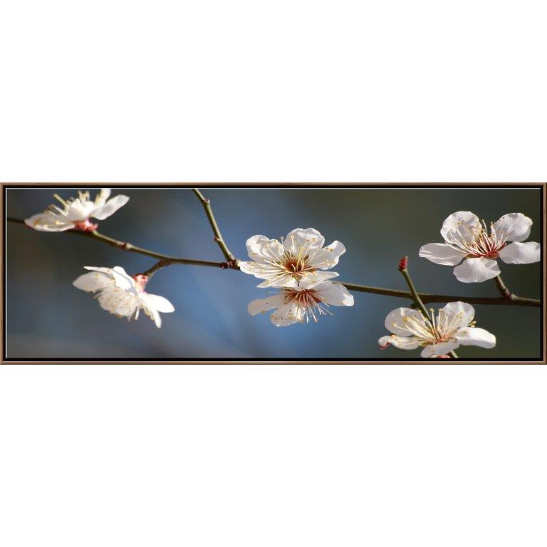 Oversized Horizontal - 9039