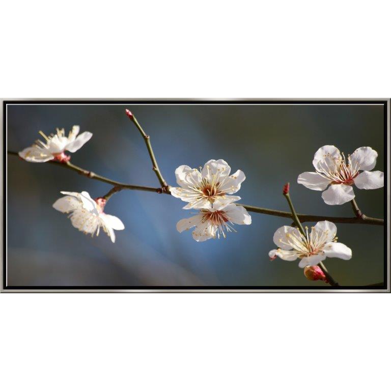 Oversized Horizontal - 9039