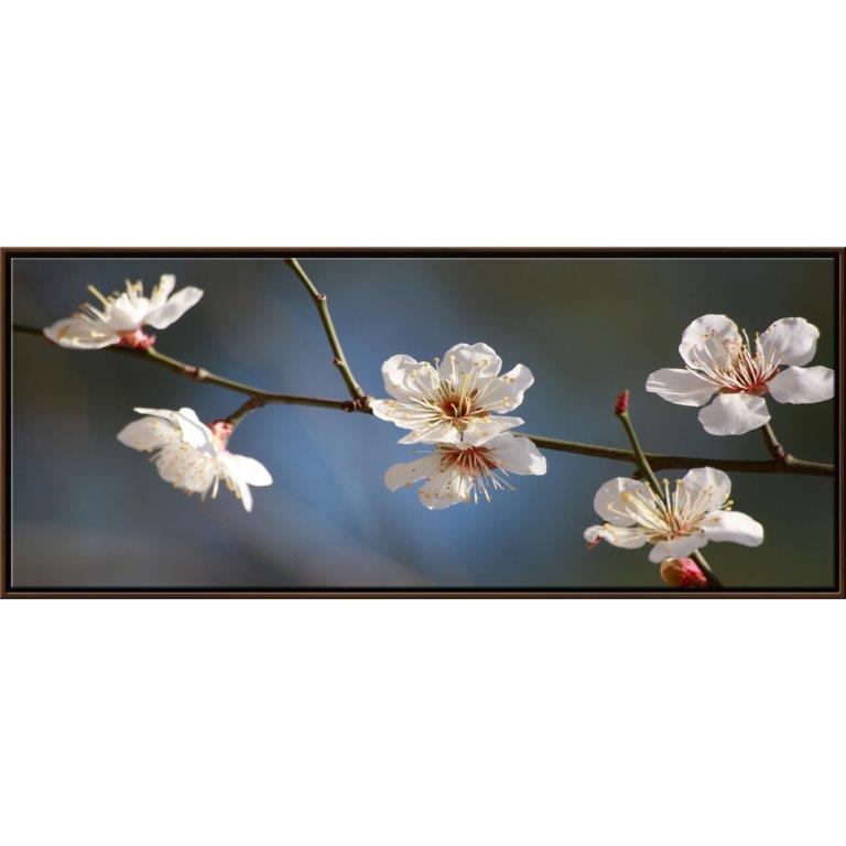 Oversized Horizontal - 9039