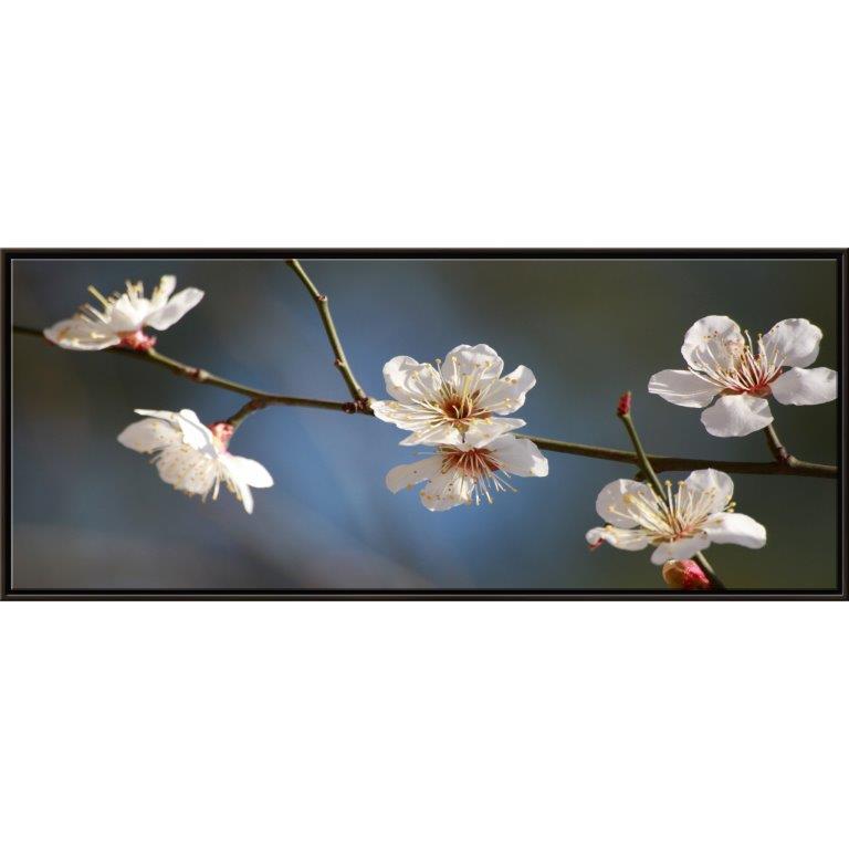 Oversized Horizontal - 9039