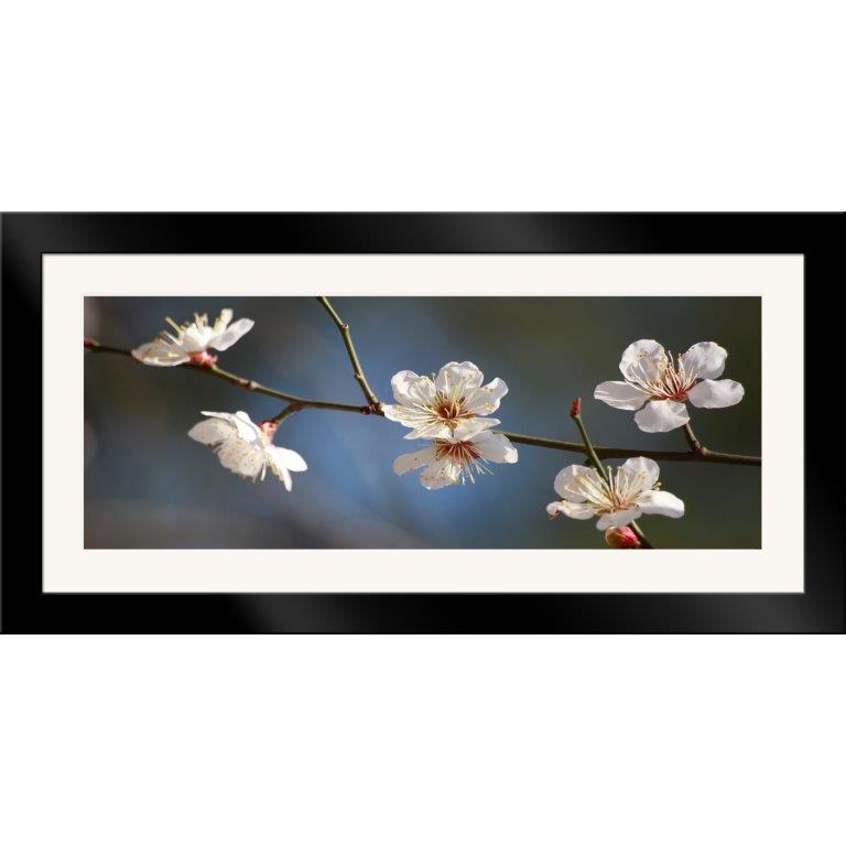 Oversized Horizontal - 9039