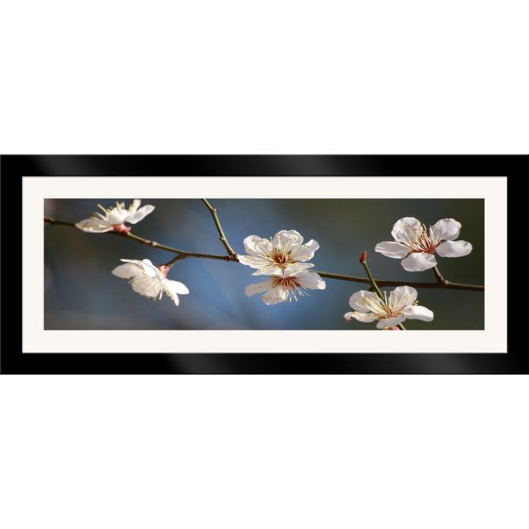 Oversized Horizontal - 9039