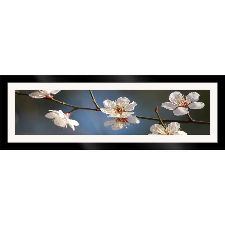 Oversized Horizontal - 9039