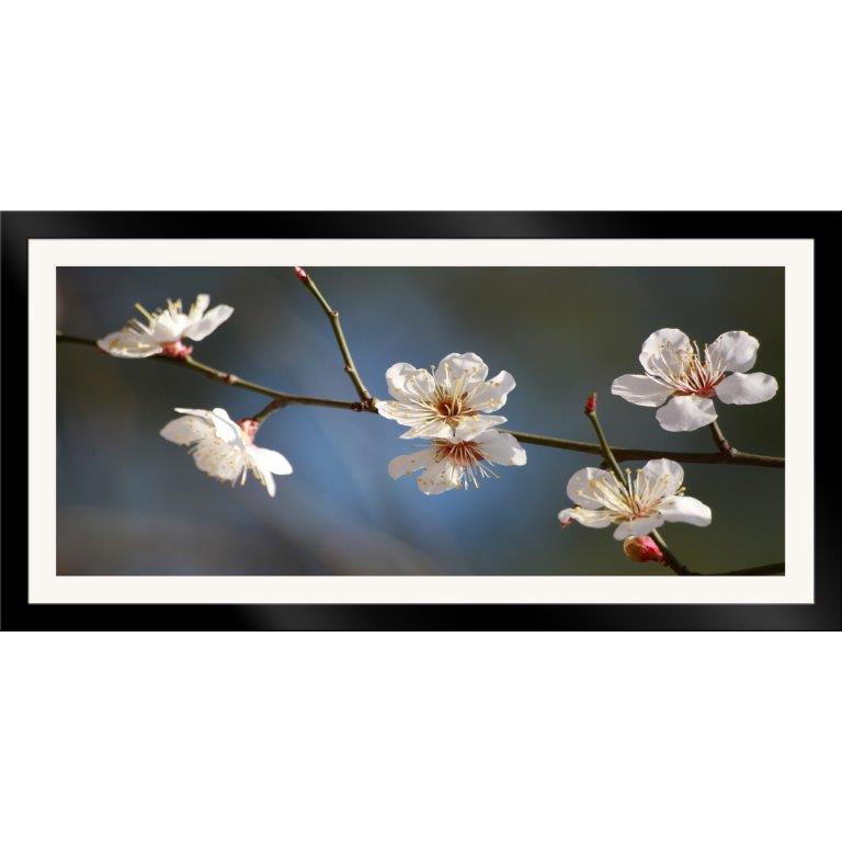 Oversized Horizontal - 9039