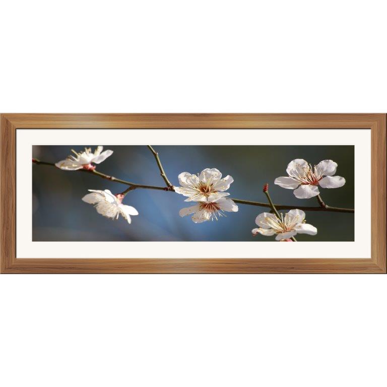 Oversized Horizontal - 9039