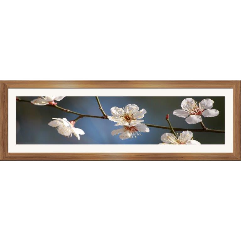 Oversized Horizontal - 9039