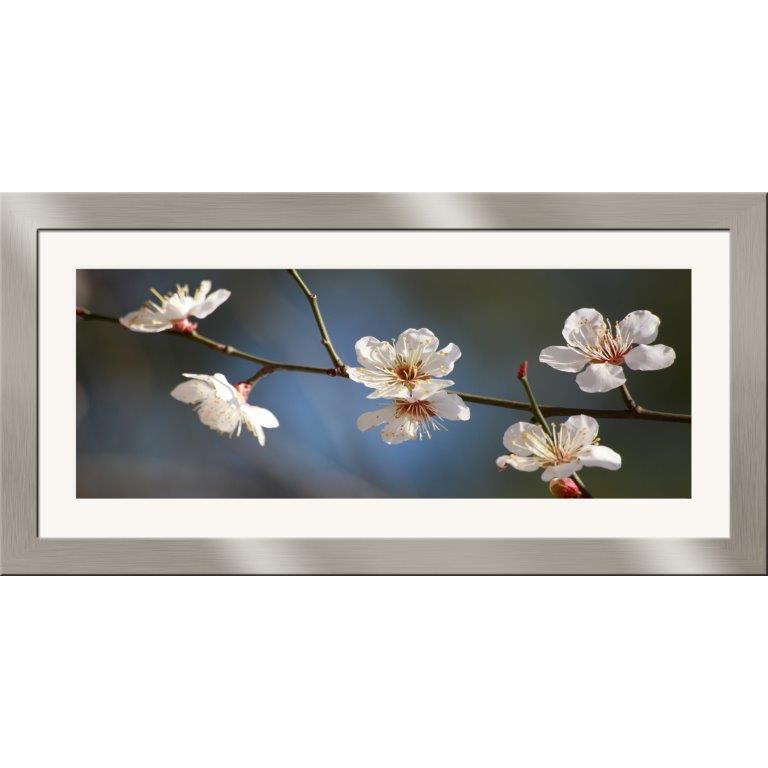 Oversized Horizontal - 9039