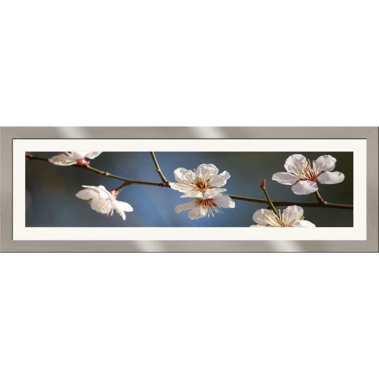 Oversized Horizontal - 9039