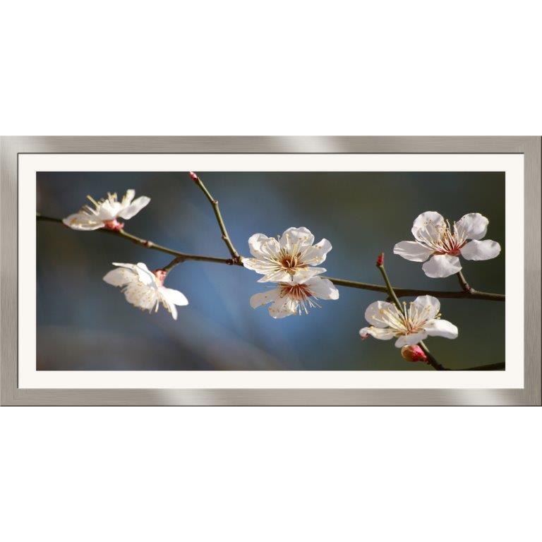 Oversized Horizontal - 9039