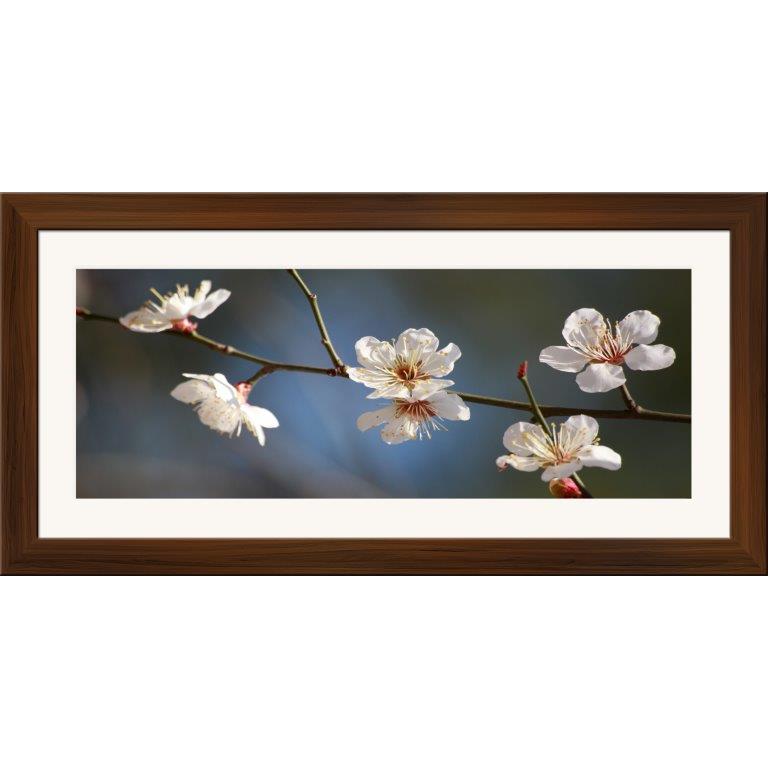 Oversized Horizontal - 9039