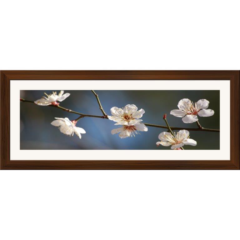 Oversized Horizontal - 9039