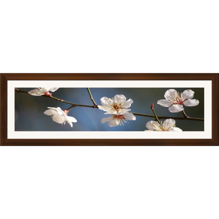 Oversized Horizontal - 9039