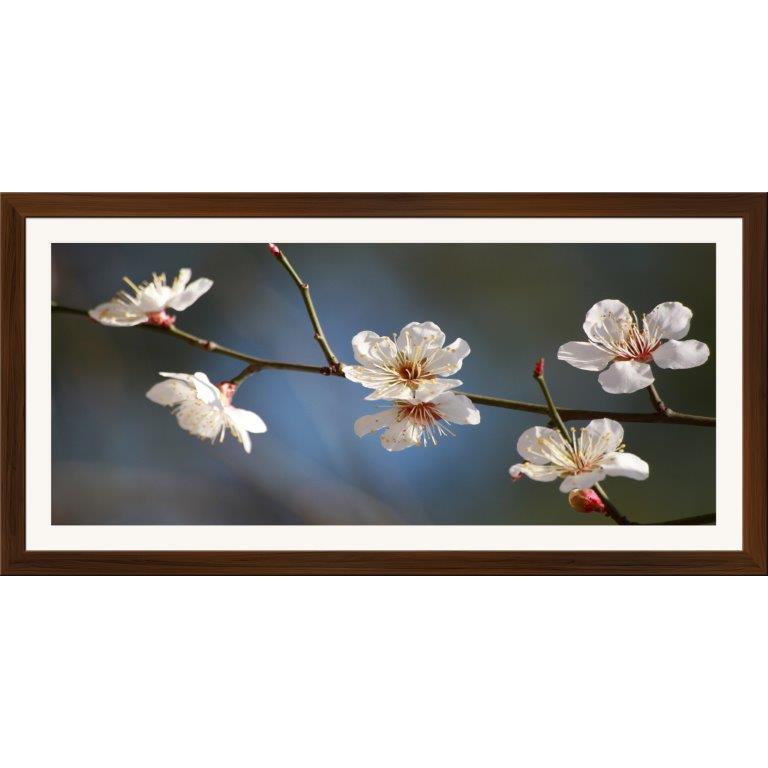 Oversized Horizontal - 9039