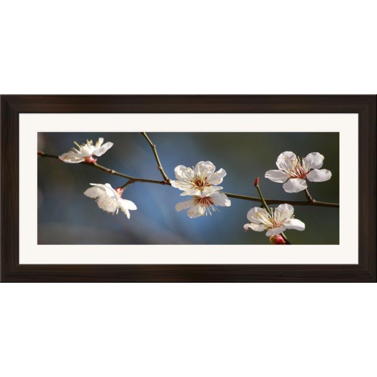 Oversized Horizontal - 9039