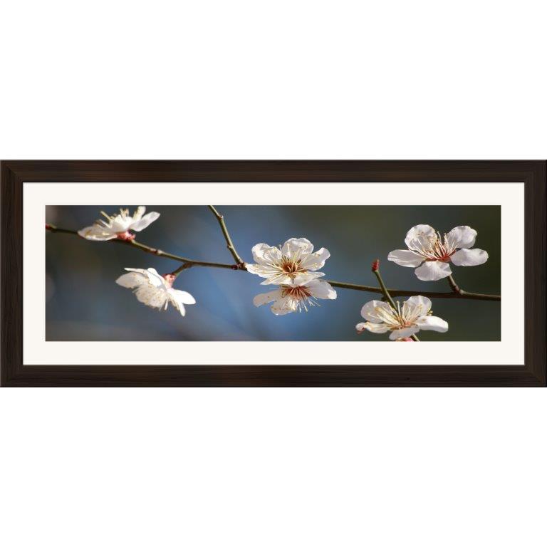 Oversized Horizontal - 9039