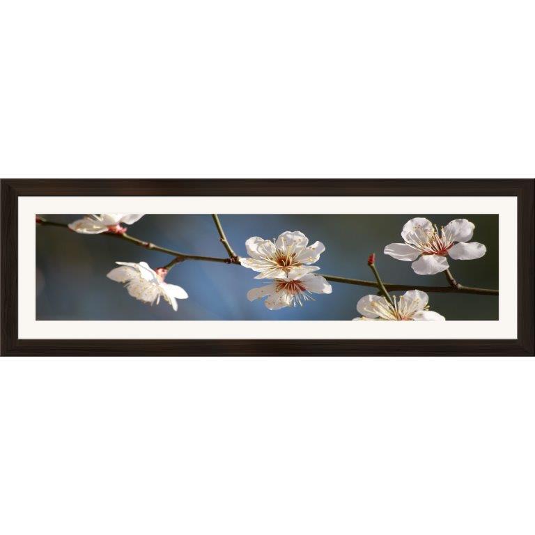 Oversized Horizontal - 9039