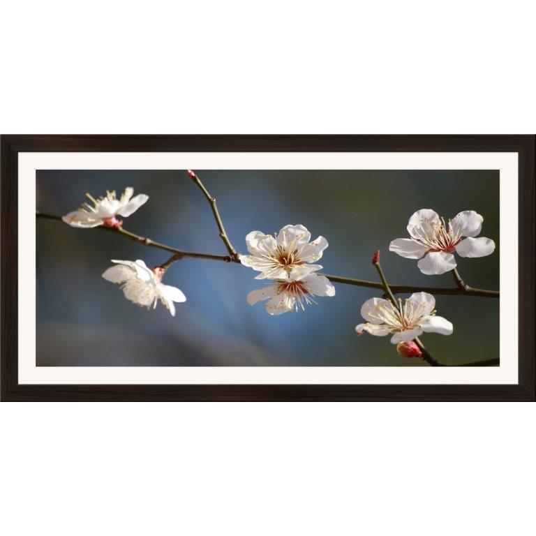 Oversized Horizontal - 9039