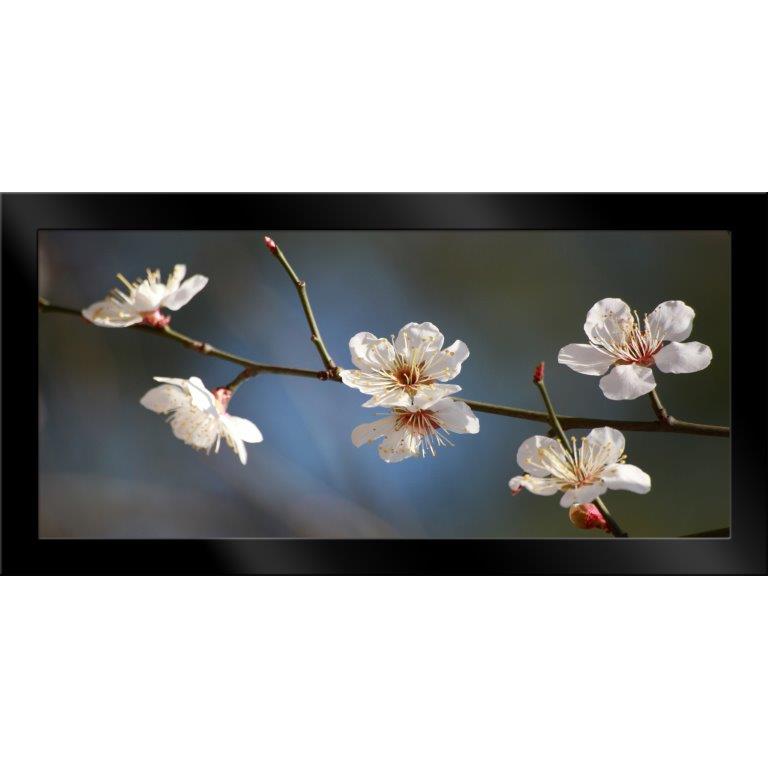 Oversized Horizontal - 9039