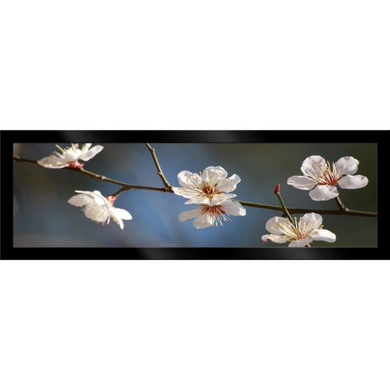 Oversized Horizontal - 9039