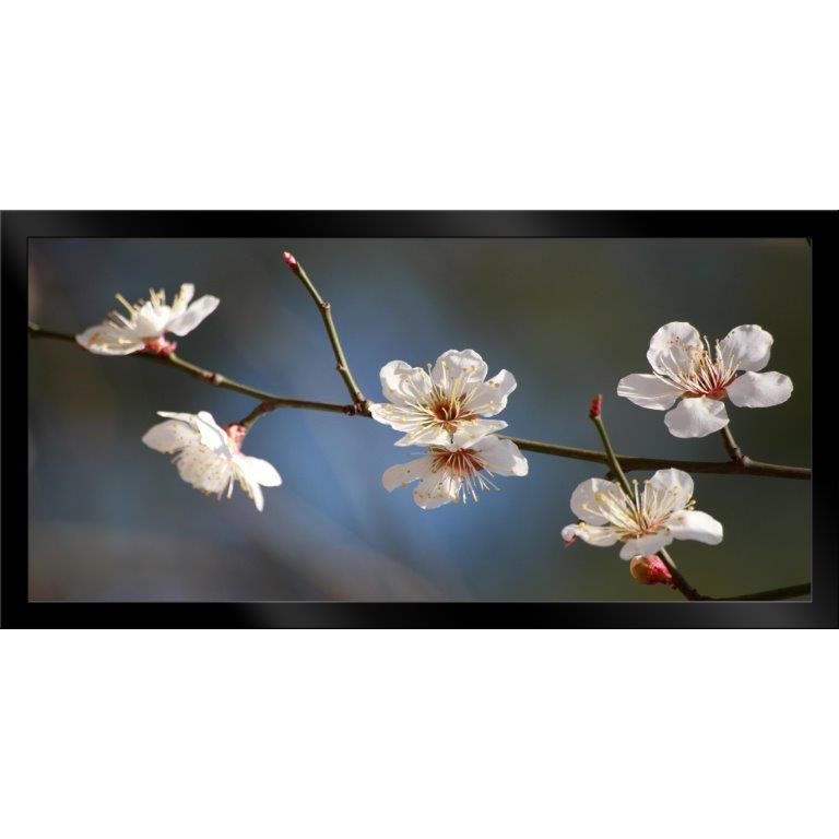 Oversized Horizontal - 9039