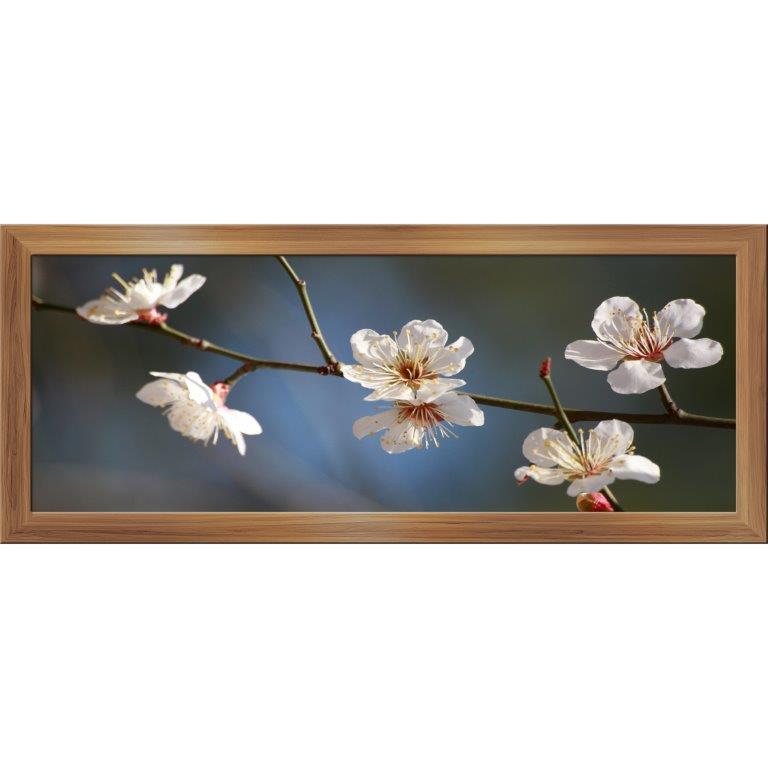 Oversized Horizontal - 9039