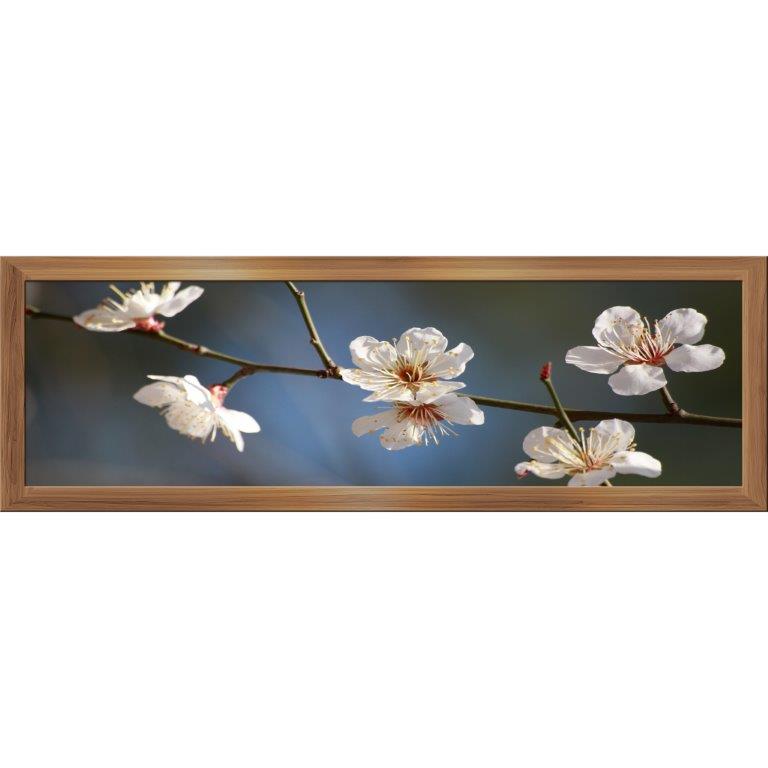 Oversized Horizontal - 9039