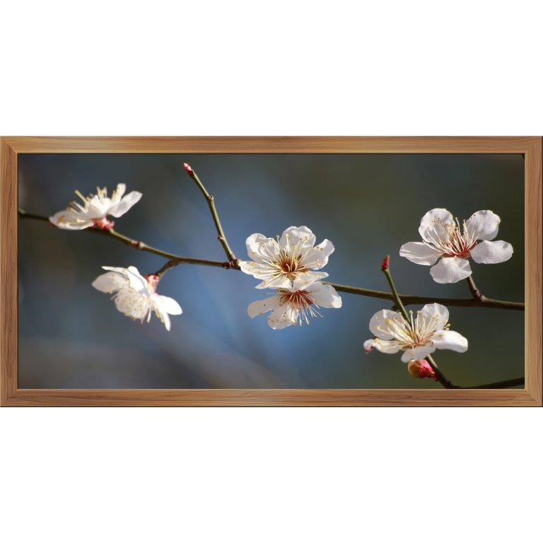 Oversized Horizontal - 9039