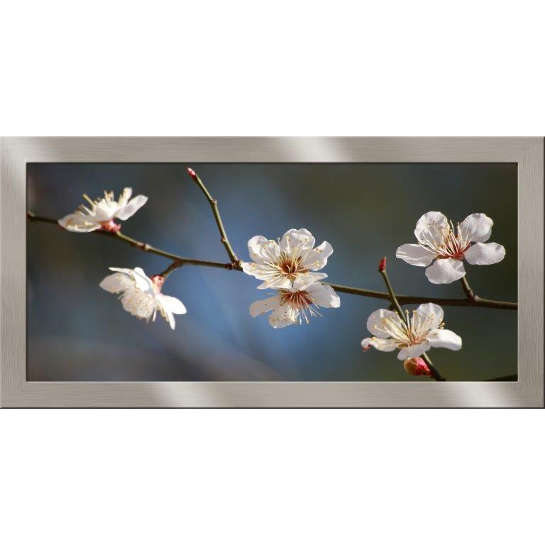 Oversized Horizontal - 9039