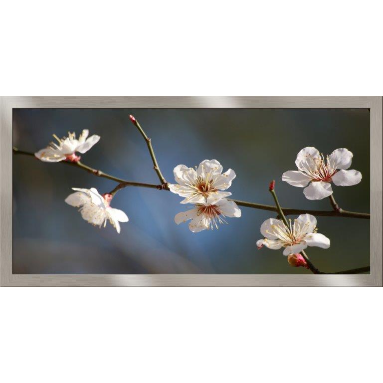 Oversized Horizontal - 9039