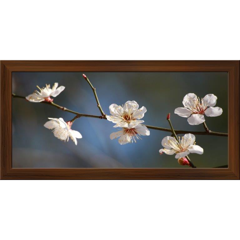 Oversized Horizontal - 9039