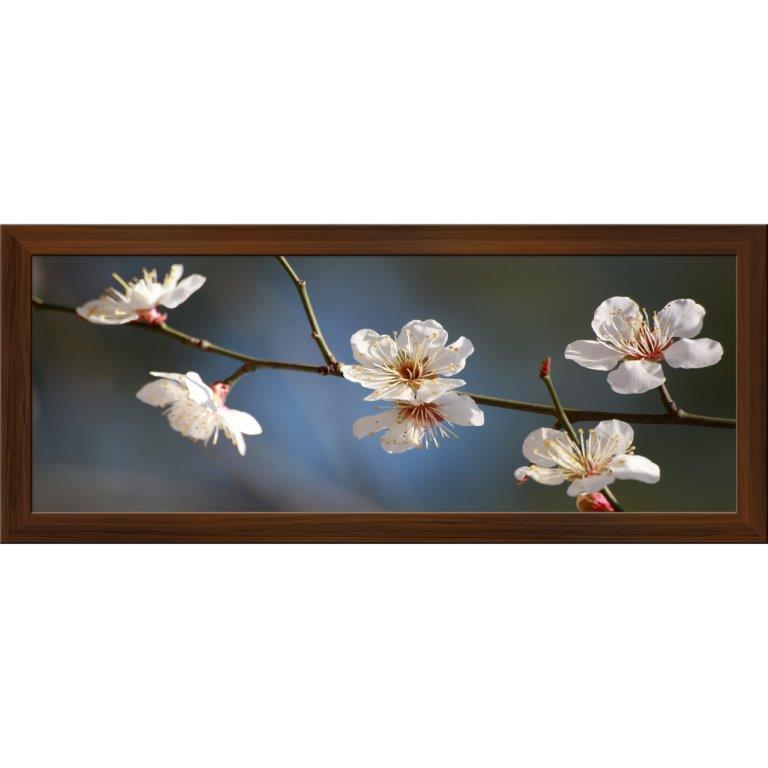 Oversized Horizontal - 9039