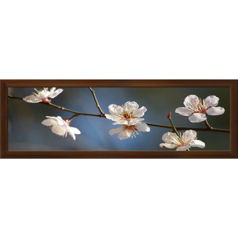 Oversized Horizontal - 9039