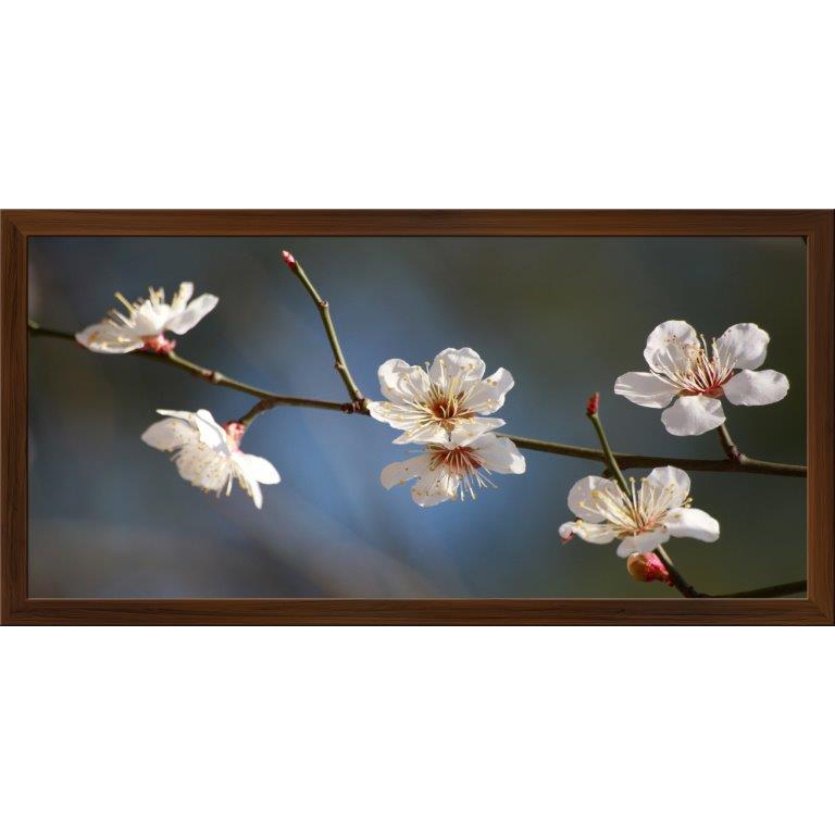 Oversized Horizontal - 9039