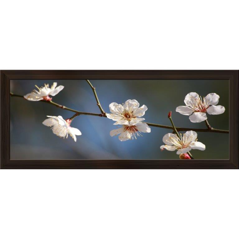 Oversized Horizontal - 9039