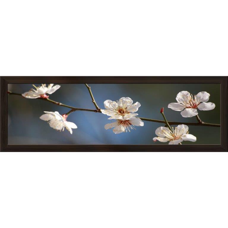 Oversized Horizontal - 9039