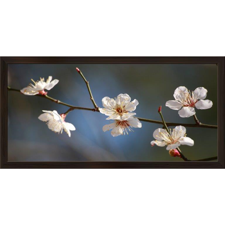 Oversized Horizontal - 9039