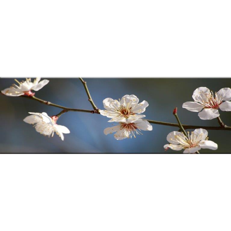 Oversized Horizontal - 9039